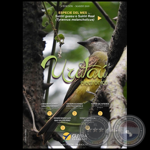 URUTAÚ ELECTRÓNICO - 3° EDICIÓN - MARZO 2019